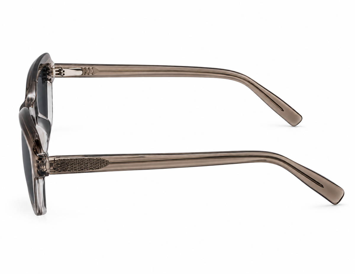 ZIGMAX SUNGLASSES - SS74129/S C2 54