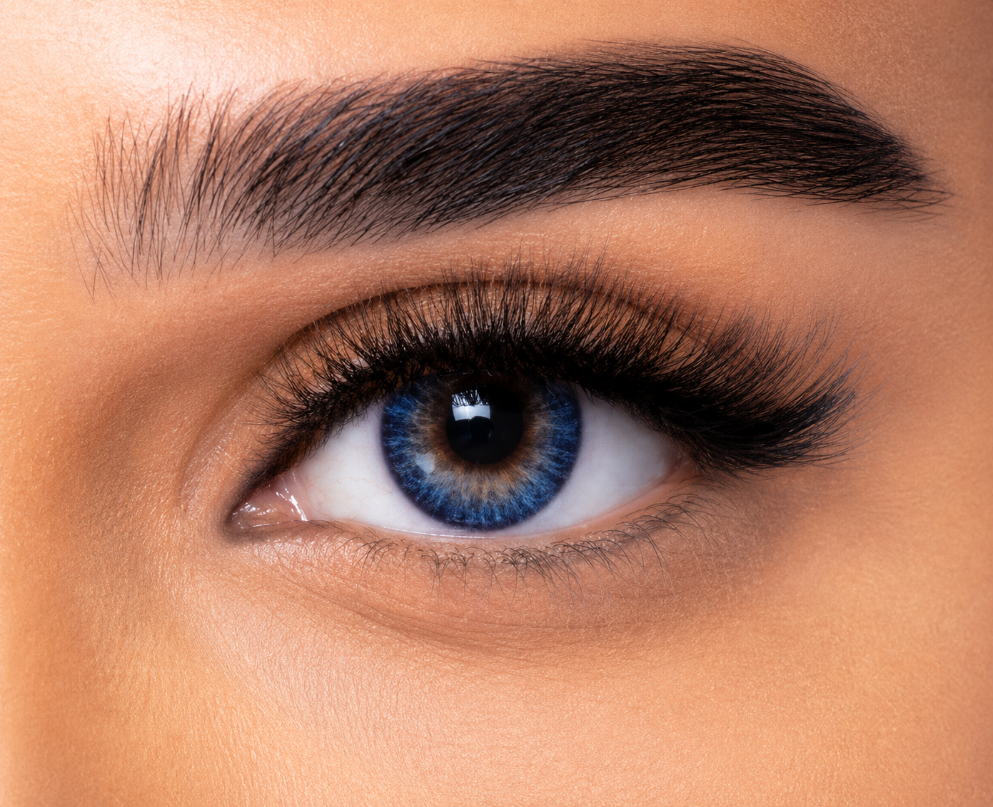 FRESHLOOK ONE DAY - BLUE PACK OF 10 DAILY CONTACT LENSES