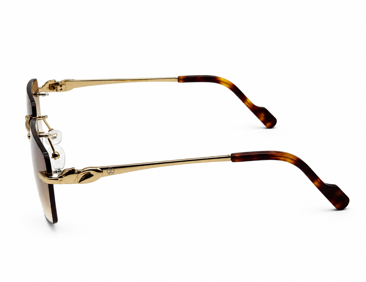 ZIGMAX SUNGLASSES - S25664-1 C3 59