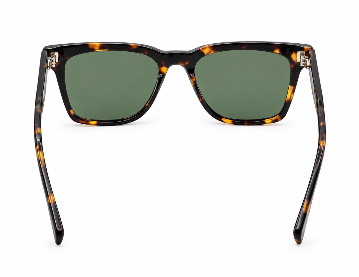 ZIGMAX SUNGLASSES - VG6011AF COL.02 53