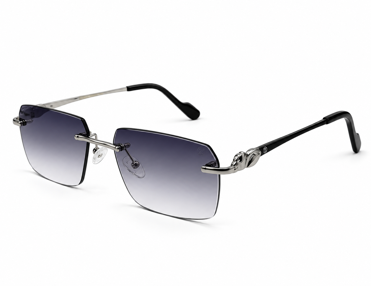 ZIGMAX SUNGLASSES - S25664-1 C4 59