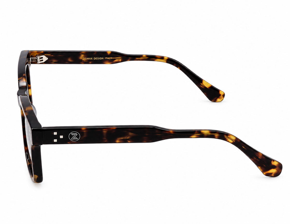 ZIGMAX SUNGLASSES - VG6011AF COL.02 53