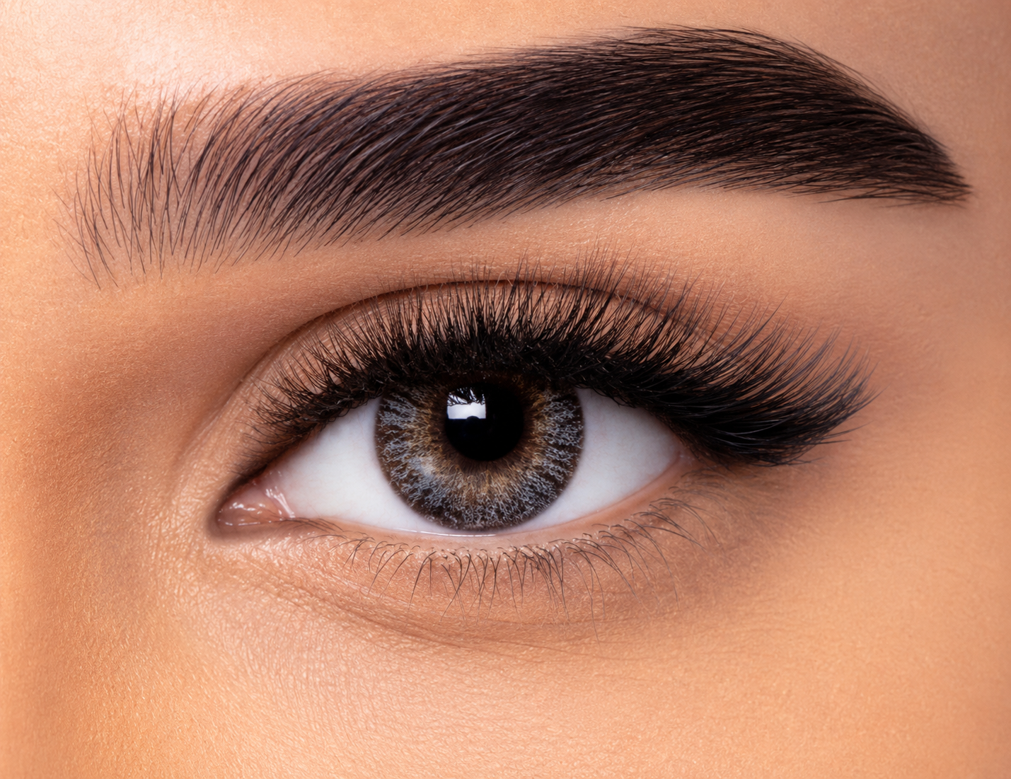 FRESHLOOK ONE DAY - GRAY PACK OF 10 DAILY CONTACT LENSES
