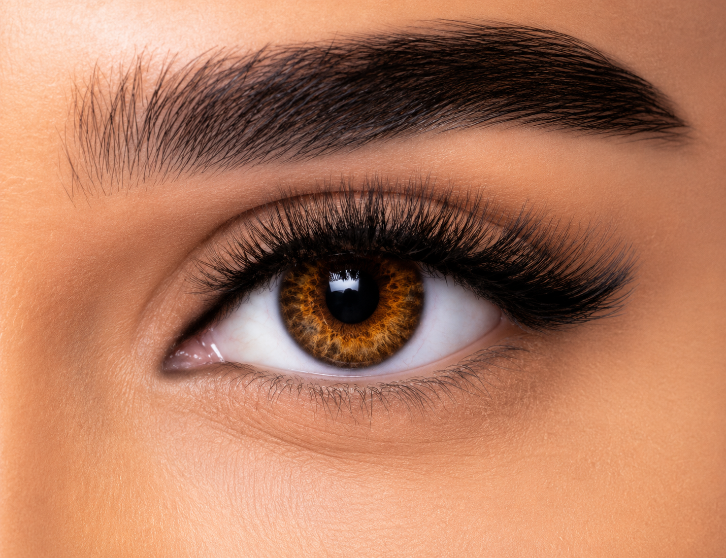 FRESHLOOK ONE DAY - PURE HAZEL PACK OF 30 DAILY CONTACT LENSES