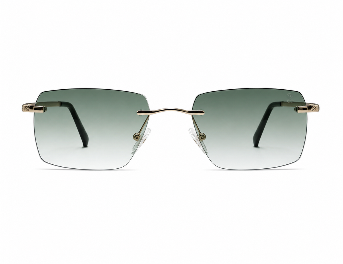 ZIGMAX SUNGLASSES - S25635 C1 53