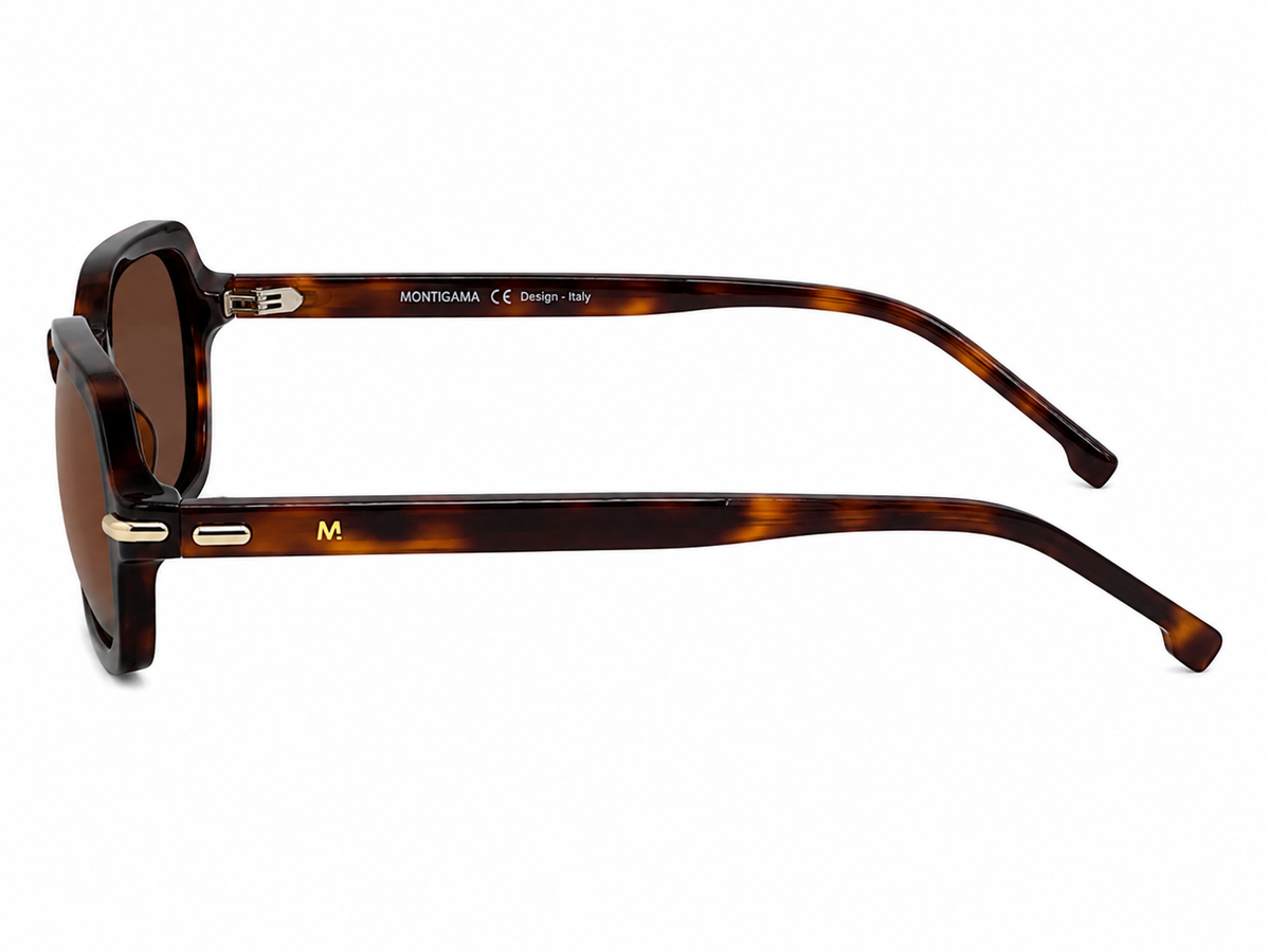 MONTGANA SUNGLASSES - 25396 C02 54