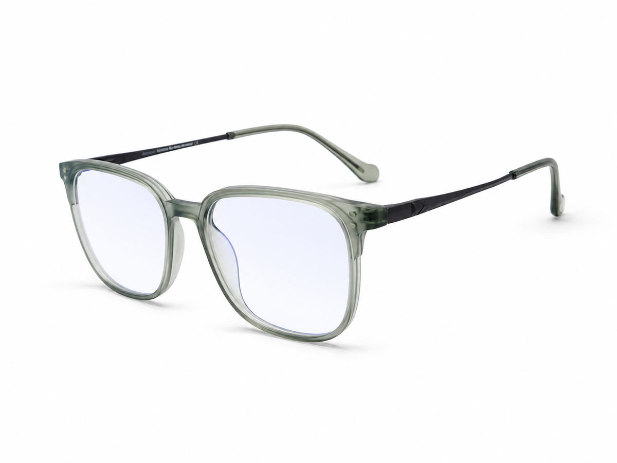 BLUE LIGHT EYEGLASSES