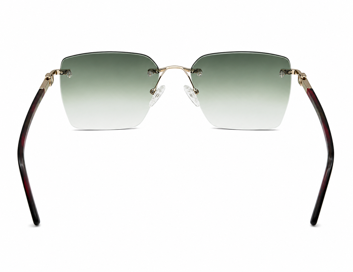 ZIGMAX SUNGLASSES - S25665-2 C1 58
