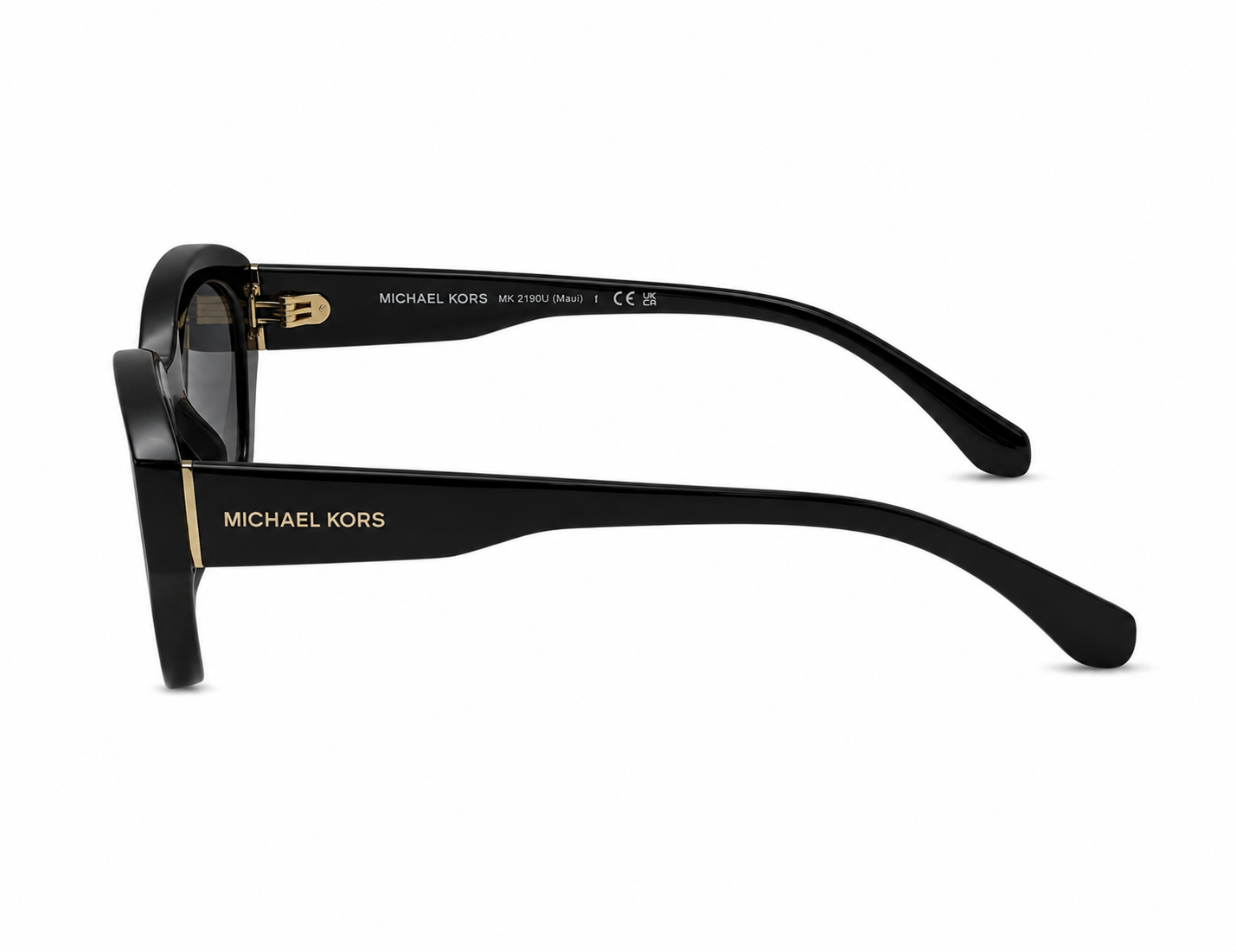 MICHAEL KORS SUNGLASSES-MK2209U 300587 54