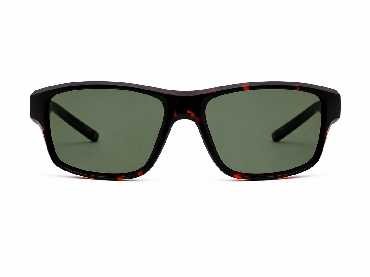 MONTGANA SUNGLASSES - PL675 C4 56