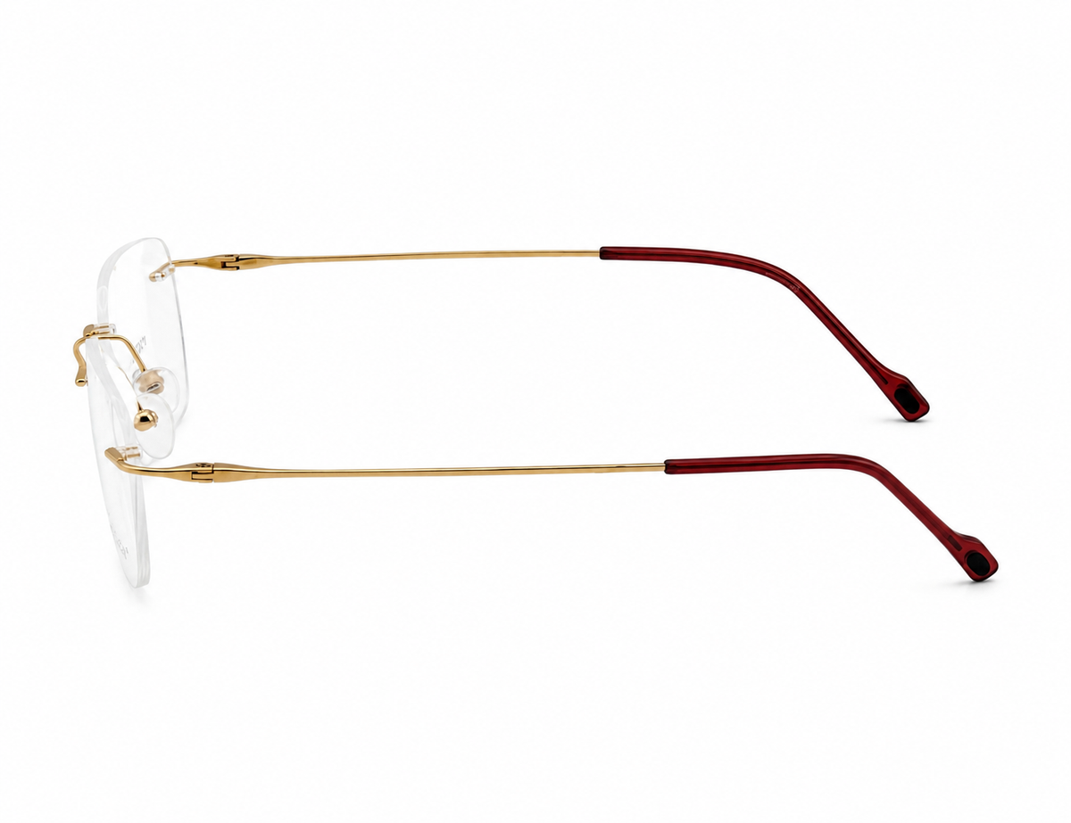 STEPPER EYEGLASSES - SI82286 F010 50