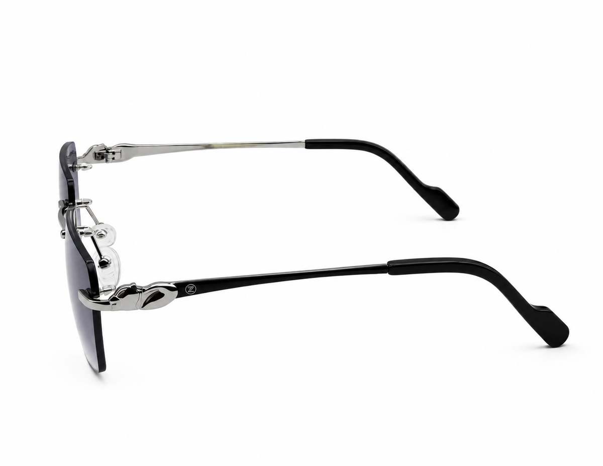 ZIGMAX SUNGLASSES - S25664-1 C4 59