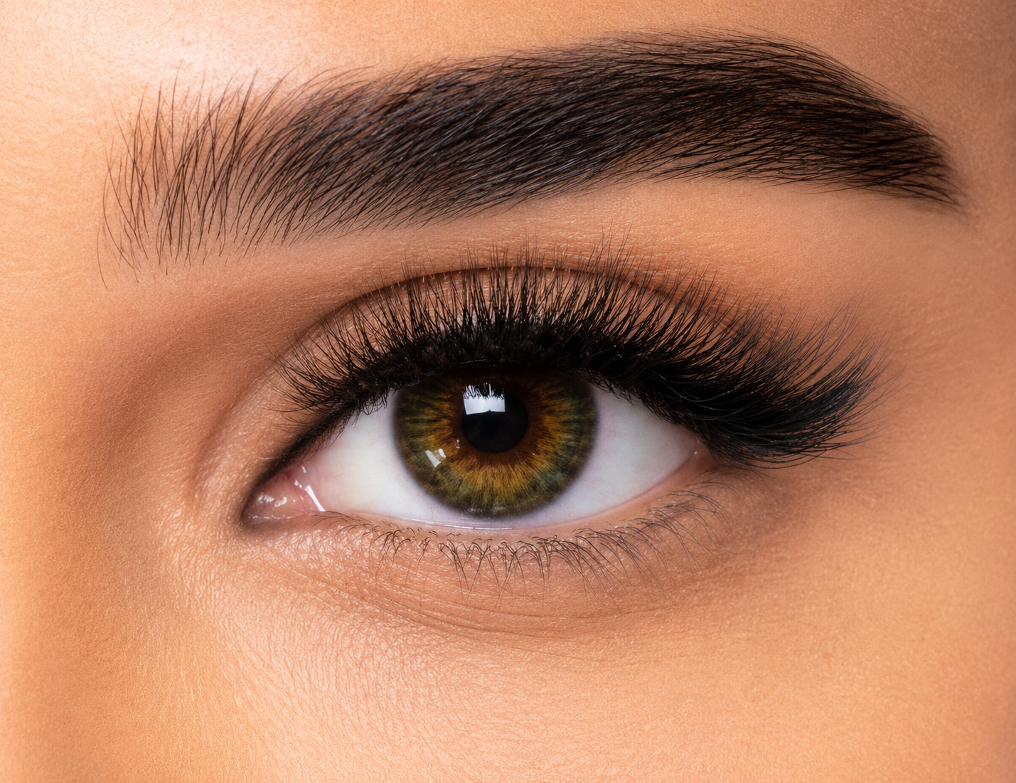 FRESHLOOK ONE DAY - GREEN PACK OF 10 DAILY CONTACT LENSES