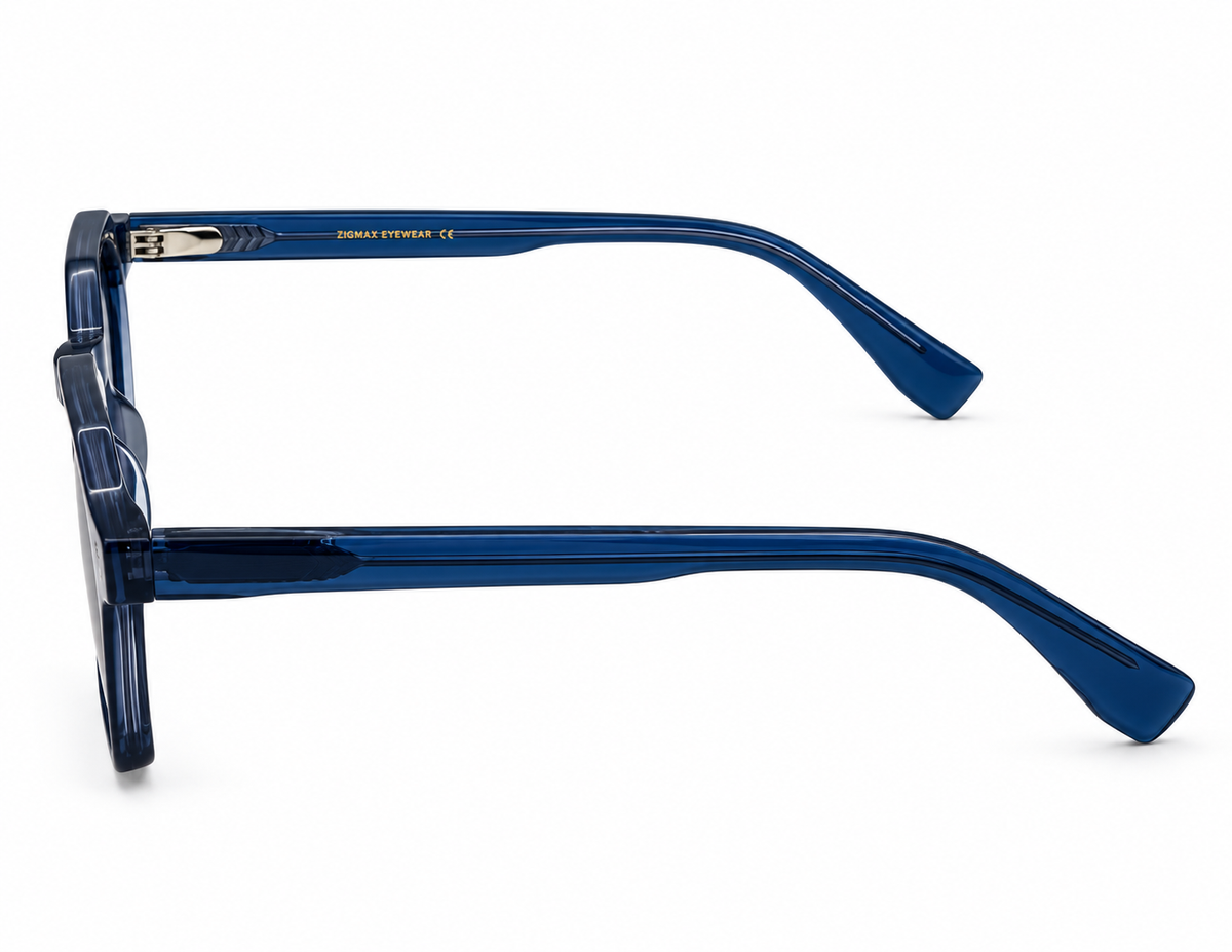 ZIGMAX SUNGLASSES - SS74138/S C2 49