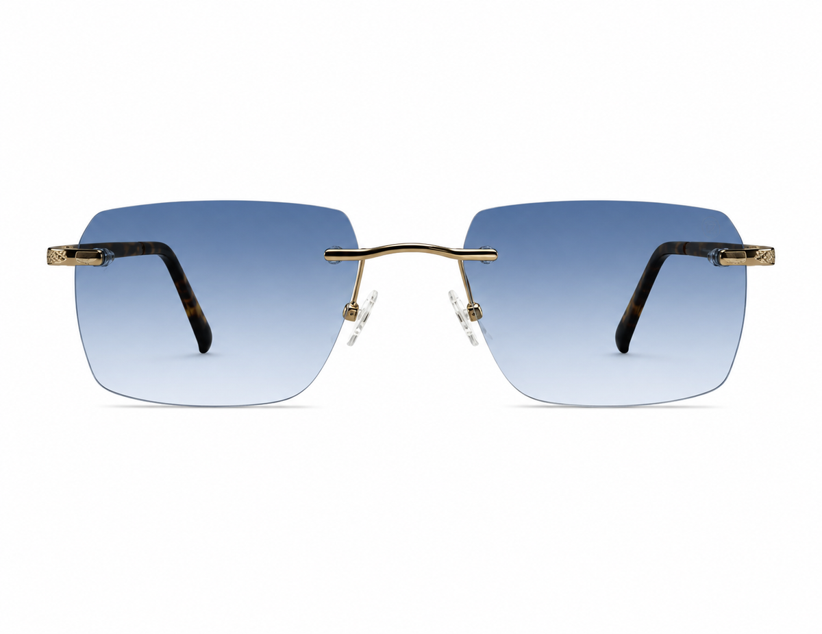 ZIGMAX SUNGLAASES - S25635 C4 53